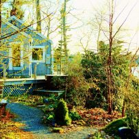 Paradise Cottage in Summer