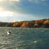 Favorite Summer and Fall photos from Paradise Point Road