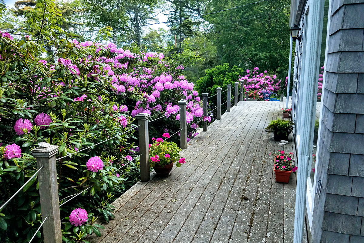 Paradise-Cottage-20210608_100316