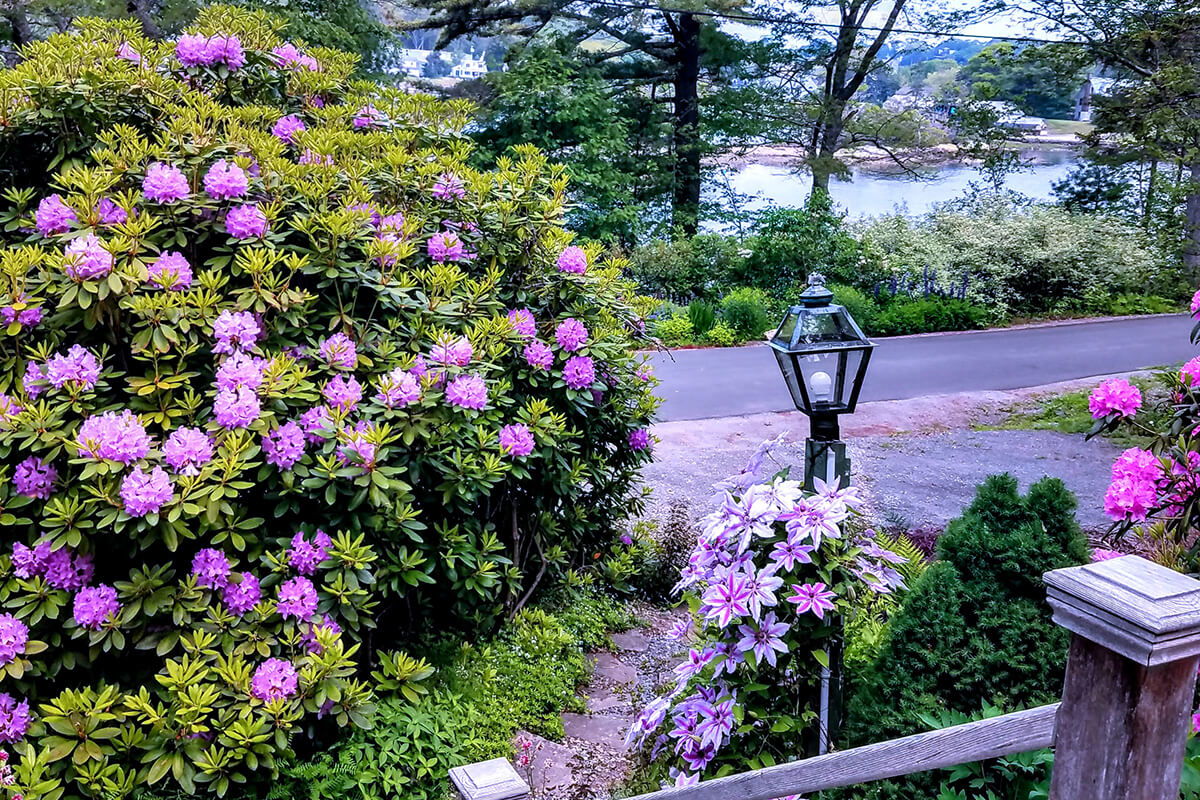 Paradise-Cottage-20210608_100732