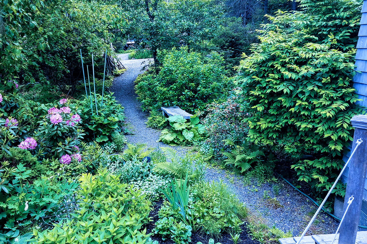 Paradise-Cottage-20210608_100918