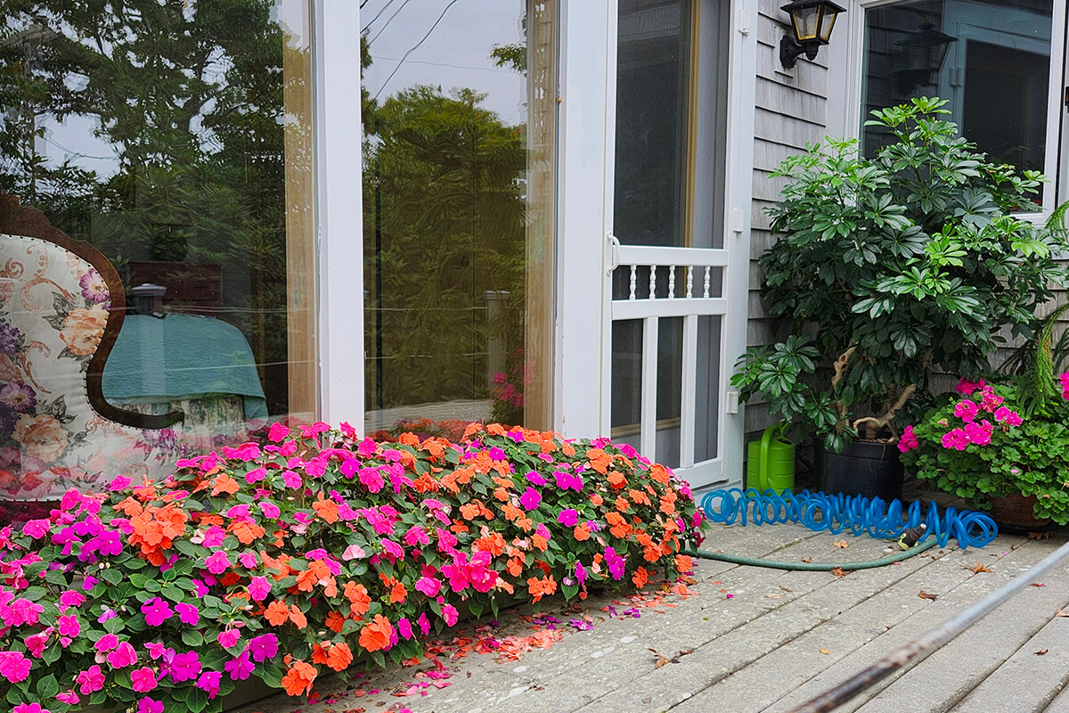 Paradise-Cottage-20240920_122424