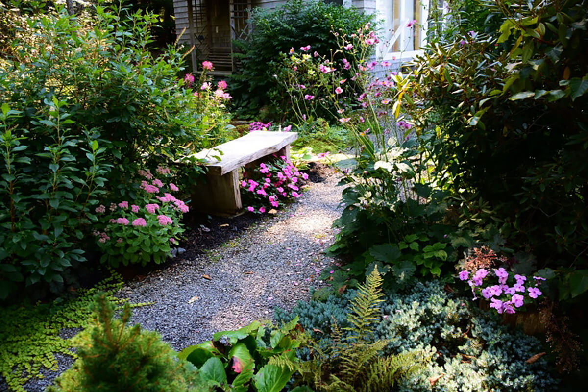 Paradise-Cottage-Bench-in-the-garden