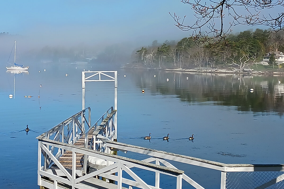 Seanook-20220512_082625